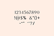 Breakwater Modern Classy Font, a Serif Font by UICreative (Thumbnail 10 of 13)