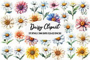 Watercolor Daisy Clipart Bundle, an Illustration by Daily.Designs (Thumbnail 1 of 5)