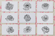50 Peony Flower Vector Illustrations, an Illustration by Inkwell Supply Co (Thumbnail 4 of 20)