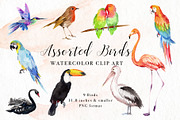 Sale- Birds Watercolor Clip Art, an Illustration by Art by Lin (Thumbnail 1 of 3)