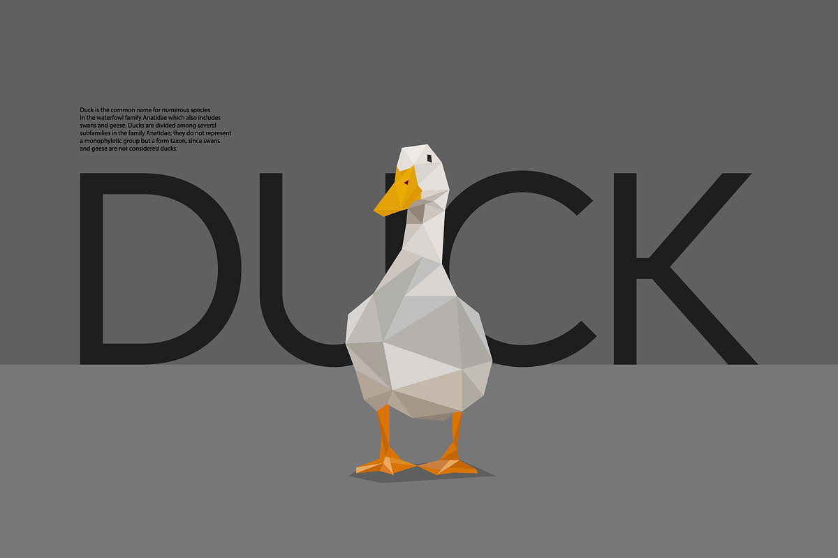 Farm Animals Pack in Low Poly Style, an Illustration by Volkan Aydemir (Photo 12 of 12)