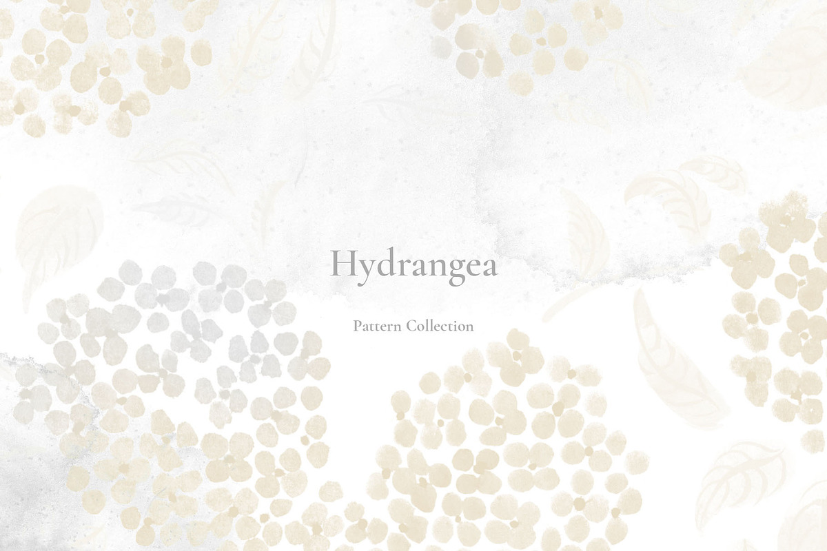 Hydrangea Pattern Collection, a Pattern Graphic by Note And Silence (Photo 1 of 7)