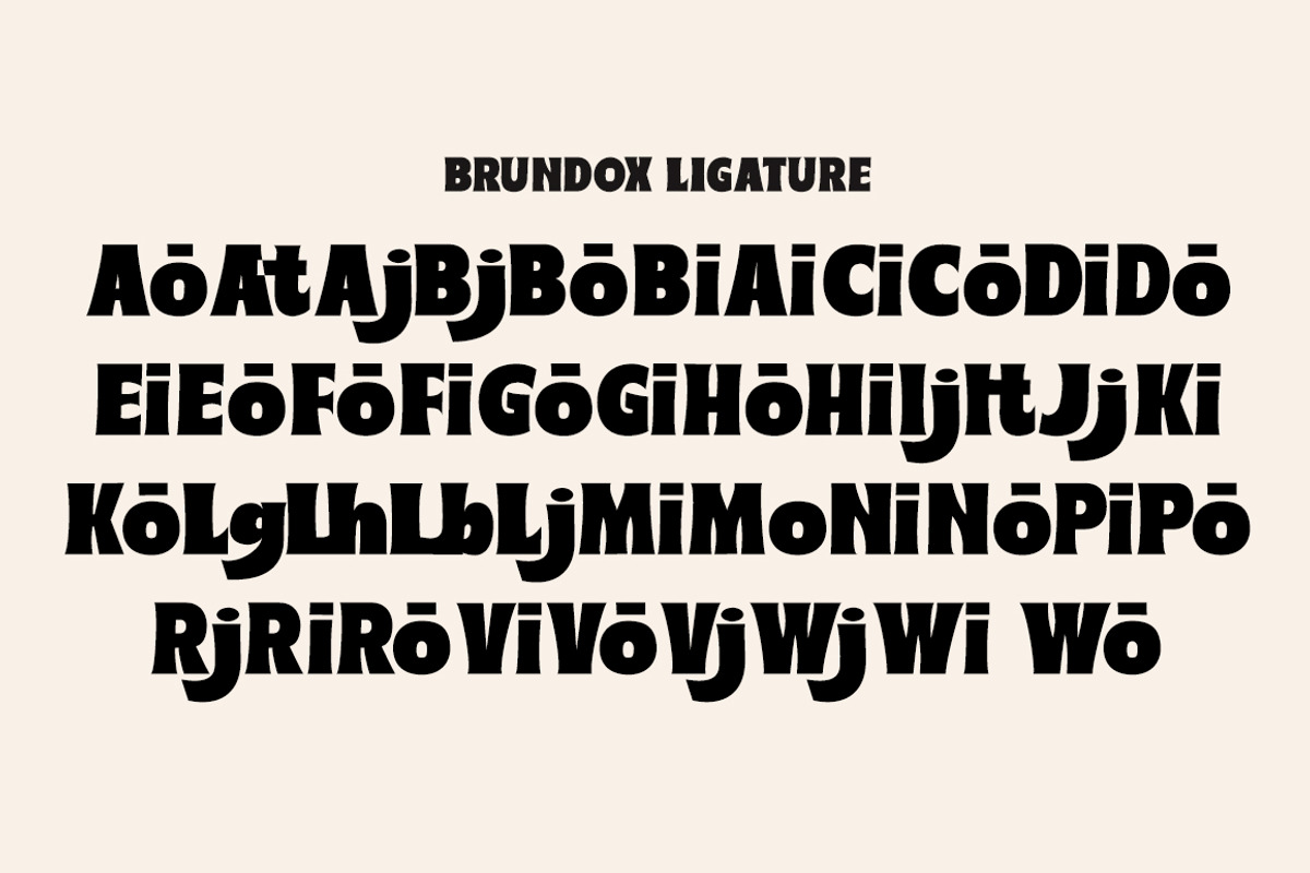 Brundox, a Handwritten Font by studiobasic (Photo 9 of 10)
