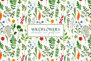 "WILDFLOWERS" Watercolor Set