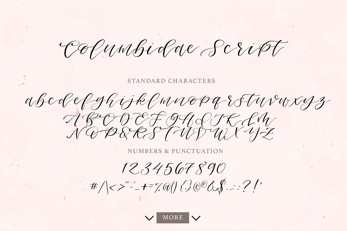 Columbidae Elegant Calligraphy Font preview 2
