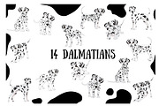 Dalmatian, an Animal Illustration by Orangepencil (Thumbnail 1 of 7)