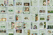 HERBAL MEDICINE SOCIAL MEDIA POSTS, a Social Media Template by Daring Digies (Thumbnail 4 of 9)