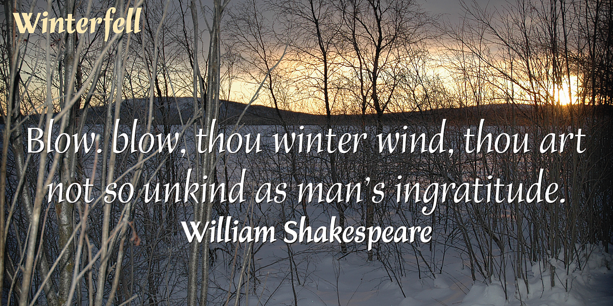 Winterfell, a Serif Font by Alan Meeks Collection (Photo 3 of 4)