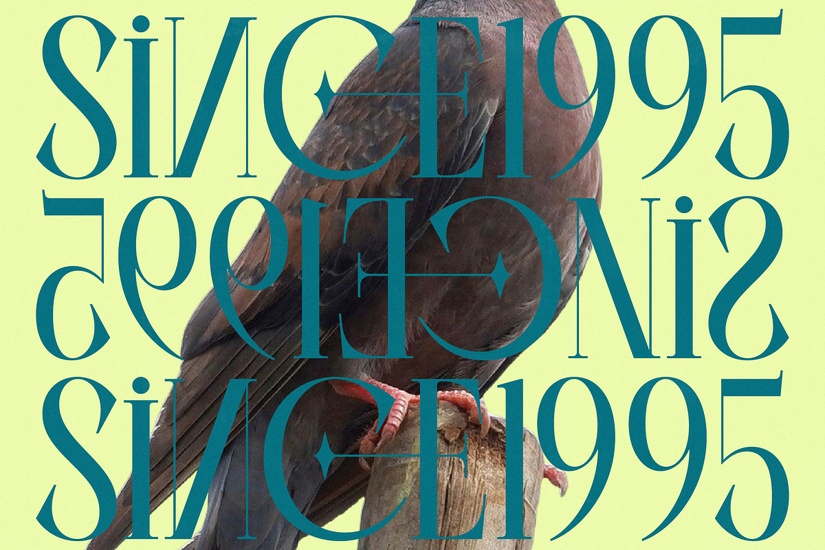 Balliome Modern Serif Typeface, a Serif Font by timelesstype.co (Photo 6 of 20)