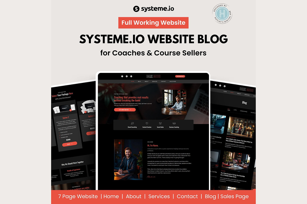 Systeme.io Dark Mode Red Blog, a Landing Page Template by Hayley's Digital Hub (Photo 1 of 10)