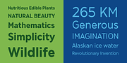 Phi, a Sans Serif Font by Cas van de Goor Design (Thumbnail 4 of 5)