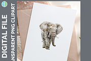 Safari Animal Illustration Bundle, an Animal Illustration by Enliven Designs (Thumbnail 5 of 8)