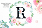 -50% Off Buttercups. Ranunculus pink, an Illustration by LABFcreations (Thumbnail 4 of 12)