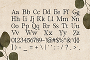 Bilena - Old Style Serif, a Serif Font by Pandeka Studio (Thumbnail 9 of 9)