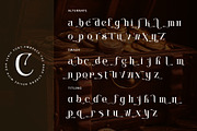 Centibillionaire, a Serif Font by Letterara (Thumbnail 11 of 13)
