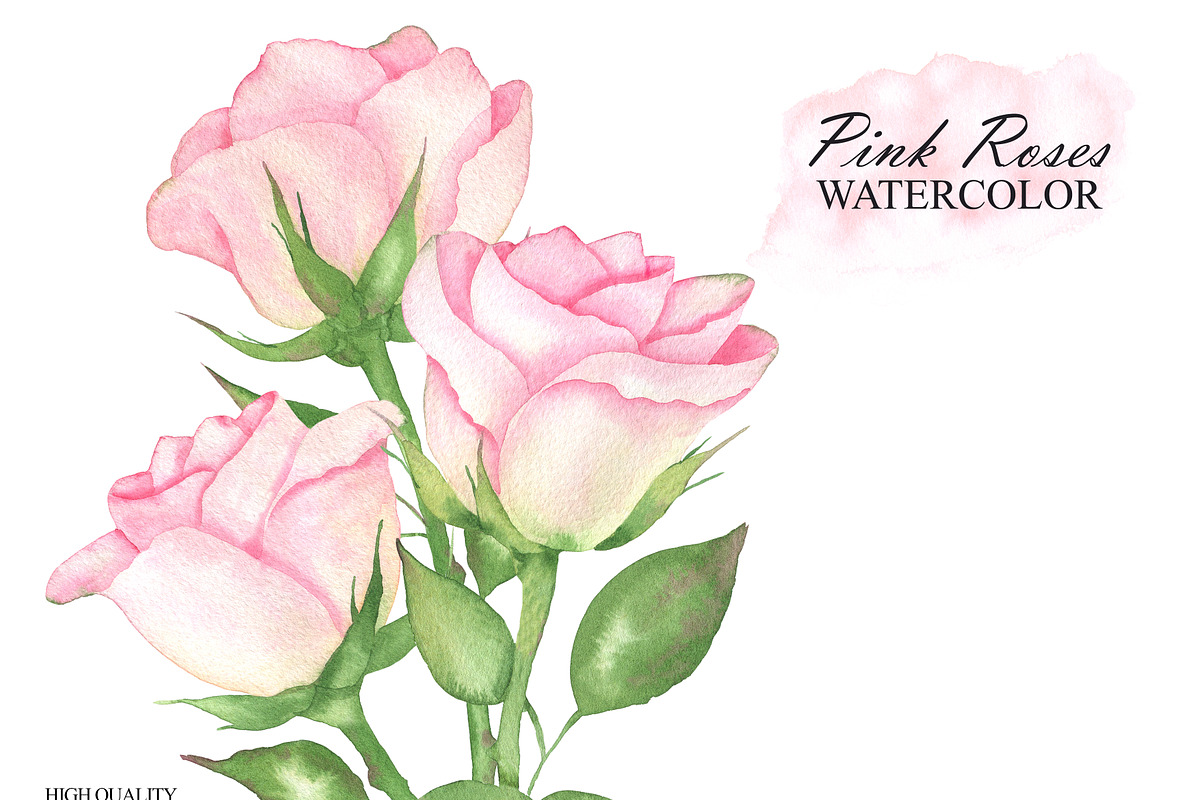 Watercolor pink roses and leaves, an Illustration by OlDm_Shop (Photo 4 of 10)