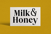 Shinoda | Classic Modern Serif, a Serif Font by Brand Type (Thumbnail 2 of 9)