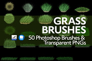 Grass Brushes for PS and PNGs, a Brush Add-On by Creative Graphics (Thumbnail 2 of 6)