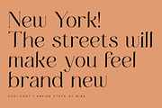 Fugi Font, a Serif Font by vuuuds (Thumbnail 8 of 15)
