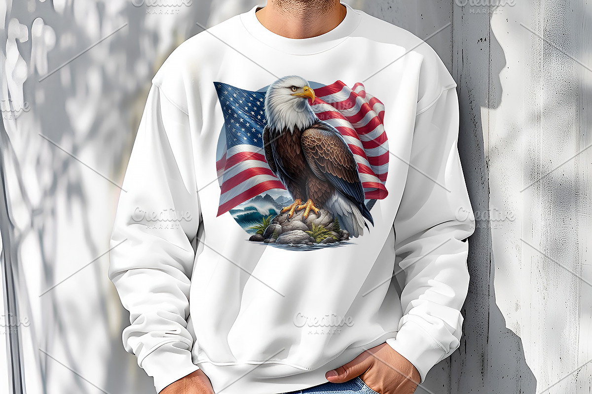 Independence Day USA Clipart, a Decorative Illustration by GalaDesign03 (Photo 4 of 5)
