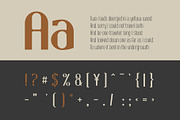 Neyland Vintage Font Family, a Sans Serif Font by creativehands (Thumbnail 6 of 7)