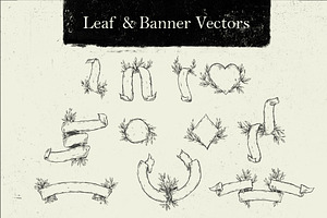 Leaf & Banner Vectors
