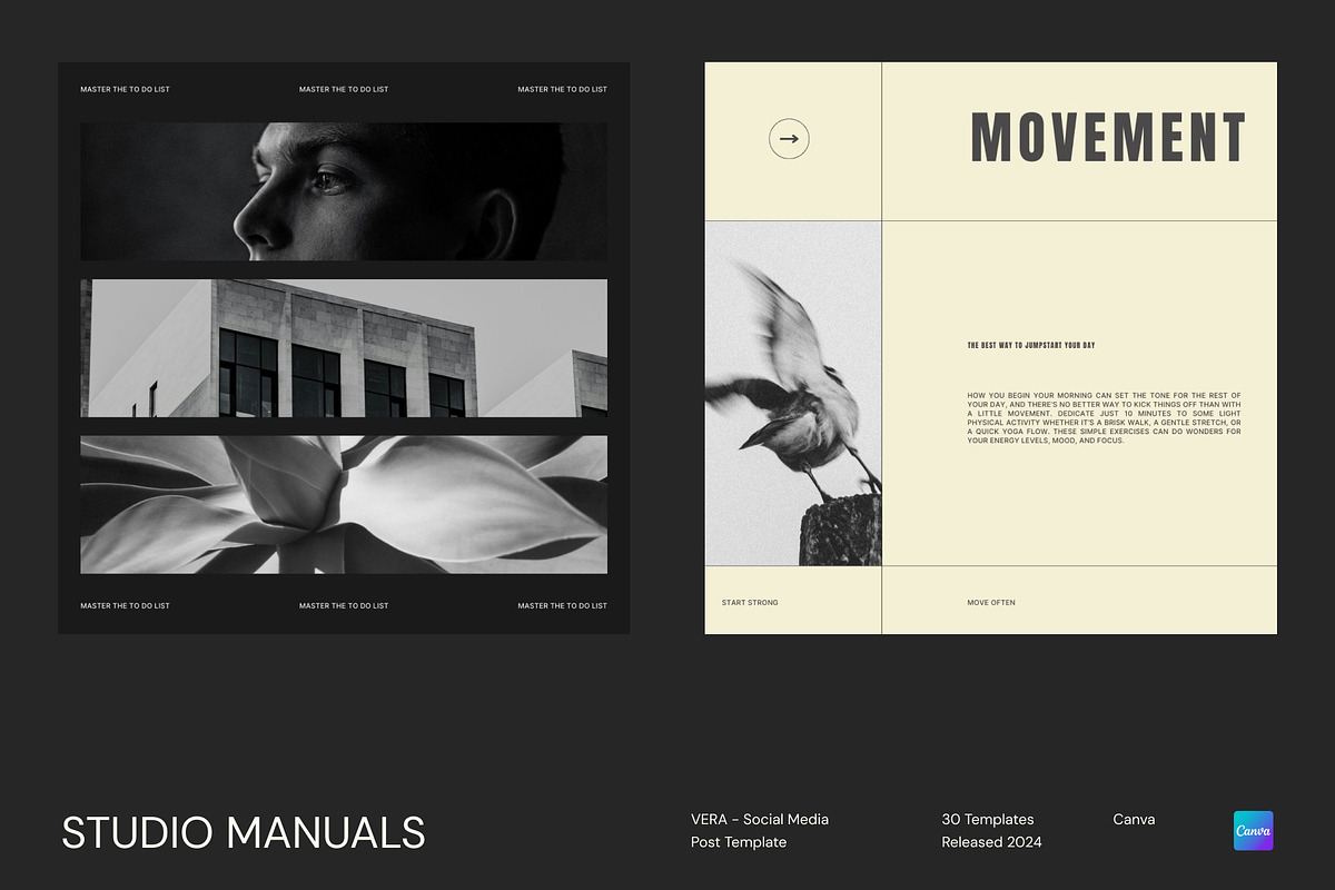 VERA – Social Media Post Template, a Social Media Template by Studio Manuals (Photo 5 of 8)
