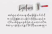 Bestlady Brush Font, a Script Font by Dhan Studio (Thumbnail 6 of 11)
