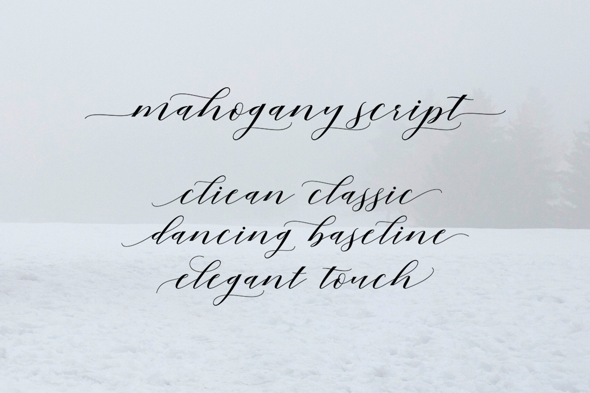 Mahogany Script, a Script Font by Areatype (Photo 2 of 8)