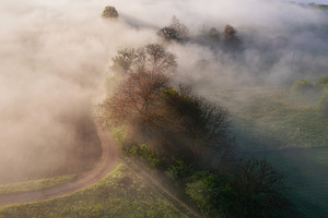 Farmland and countryside in the morning fog