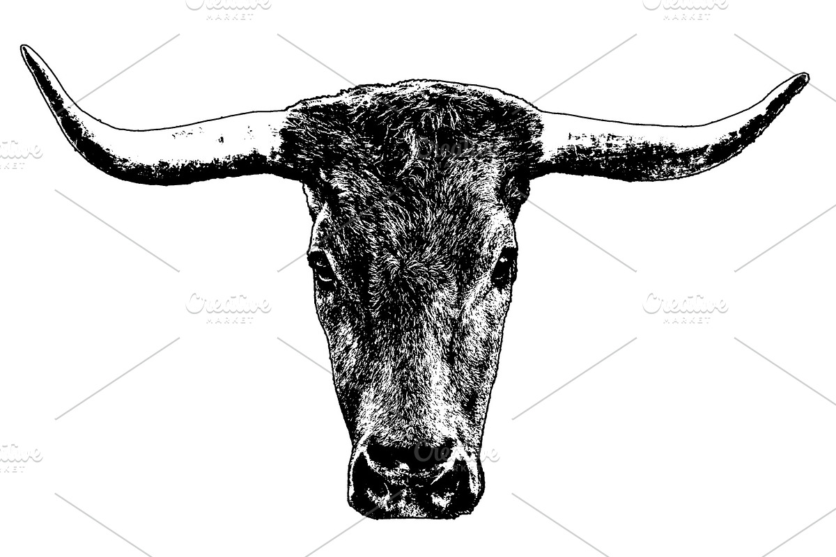 Isoalted grpahic of bull head, an Animal Illustration by DanFLCreativo