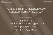 Bovacy - Modern Elegant Serif, a Serif Font by Say Studio (Thumbnail 11 of 15)