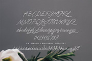 Que Sera Monoline Script, a Script Font by INKMETHIS (Thumbnail 2 of 6)