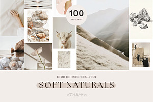 Soft Naturals | 100 art prints