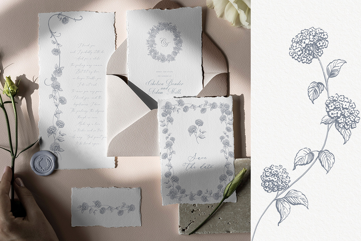 Hydrangea line art flowers, an Object Illustration by Sensual Art (Photo 7 of 9)