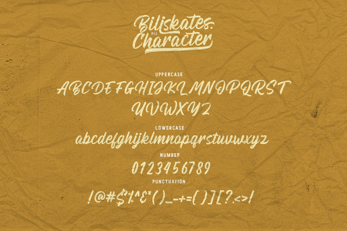 Billskates Script preview 7
