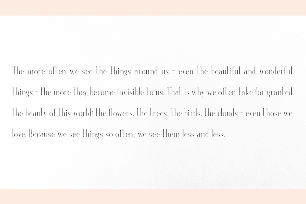 Venice | A Beautiful Serif preview 4