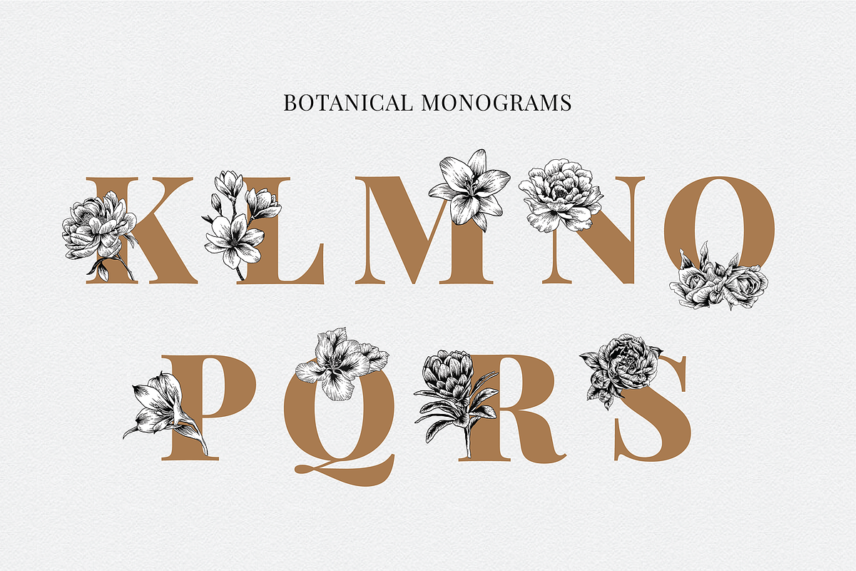 Botanical Illustration Bundle, an Illustration by Rough Edges Supply Co. (Photo 13 of 17)