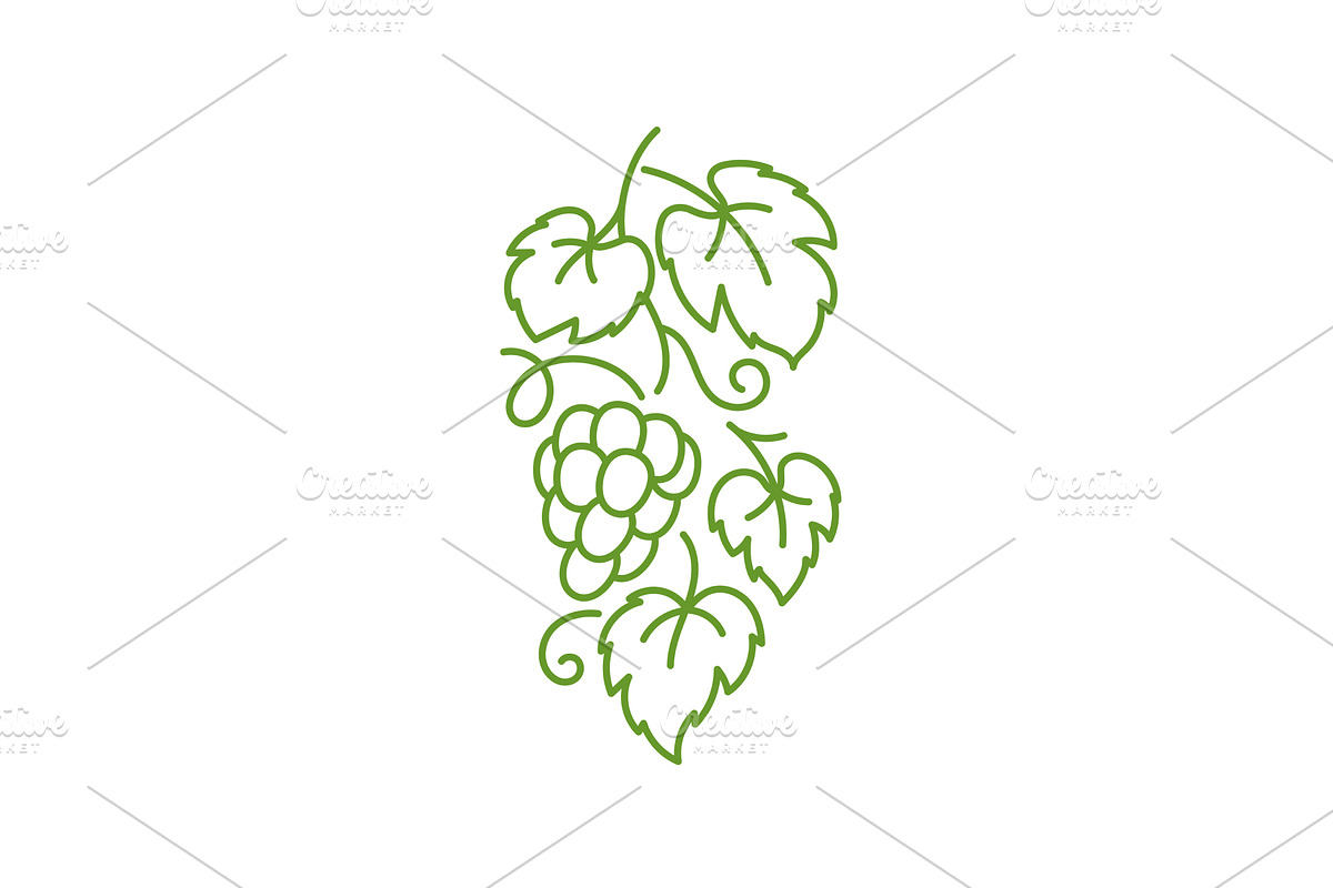 Grape design element., an Illustration by Ilia Design