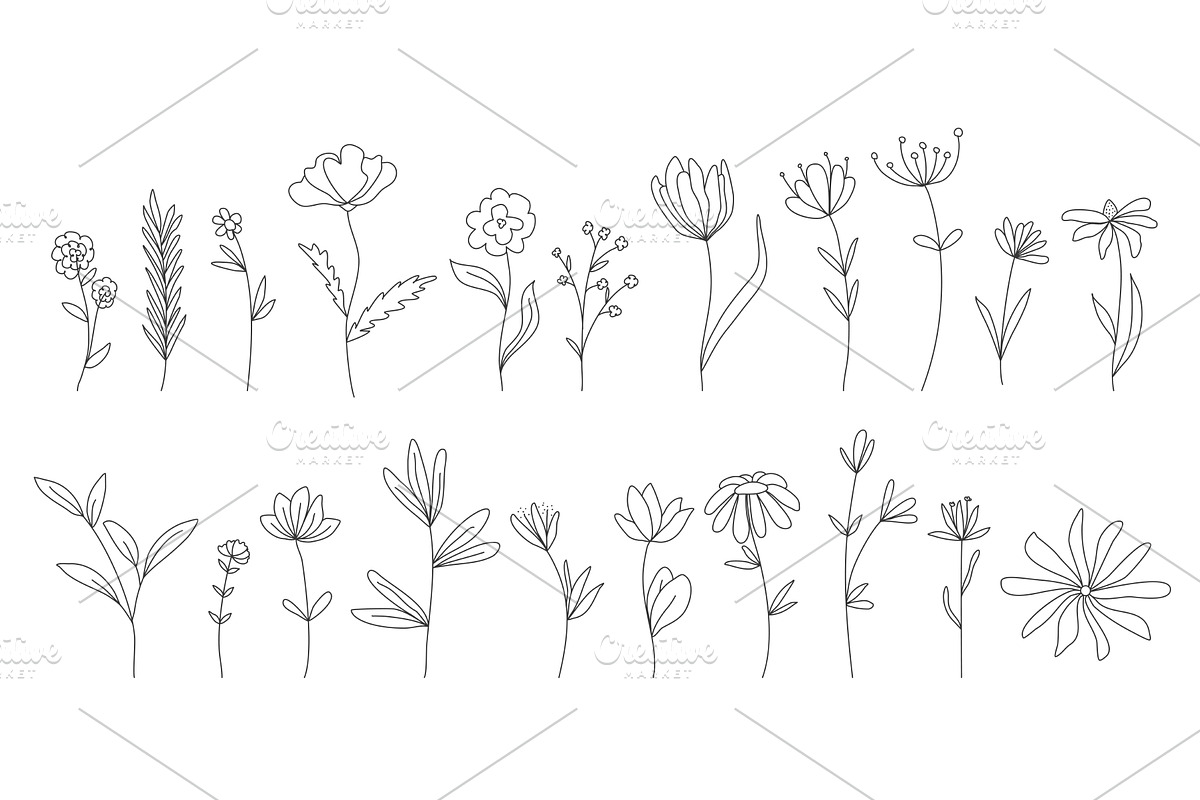 Outline illustrations of flowers and, an Object Illustration by Tati_Kli