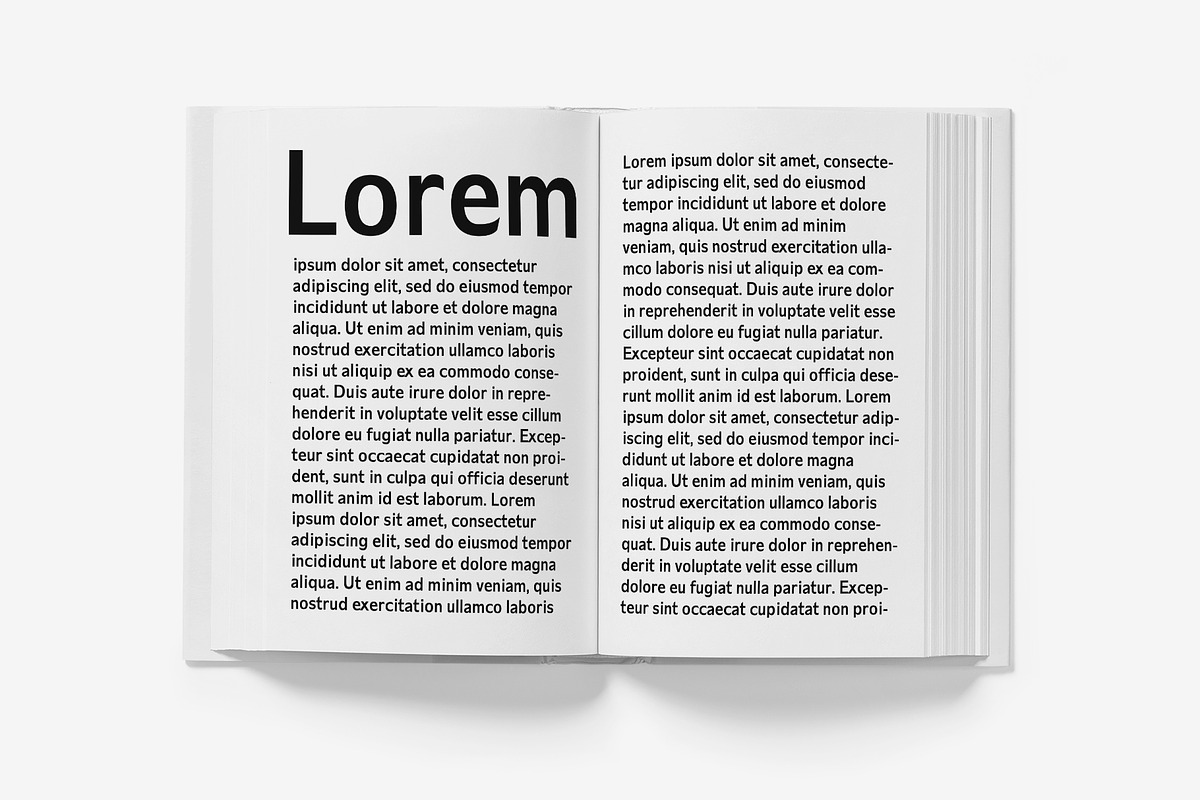 Daecca Sans Serif Font Family, a Sans Serif Font by Creativetacos (Photo 11 of 13)
