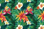 Flower pattern wildflower floral, a Wallpaper Photo by ComfortQ (Thumbnail 1 of 2)