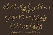 Soila Yadelle Elegant Curves Script, a Script Font by HypeWorksCo (Thumbnail 15 of 15)