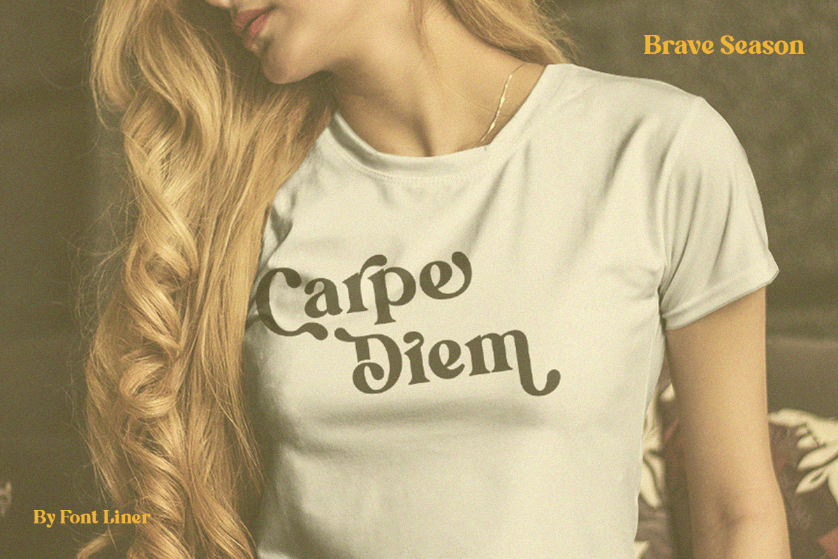 Brave Seasons - Modern Serif Font, a Serif Font by Font Liner (Photo 5 of 14)