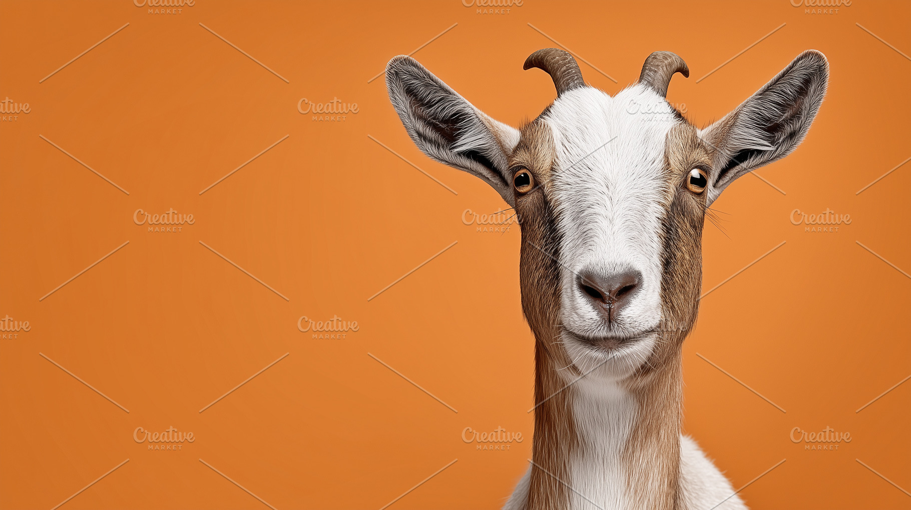 Close up portrait of a goat, an Animal Photo by MistyDay