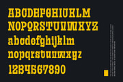 Frust Stonig - Inktrap Slab Serif, a Slab Serif Font by Variatype (Thumbnail 9 of 12)