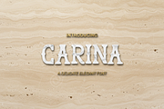 Carina Modern Luxury Serif Typeface, a Font by Astuti Studio (Thumbnail 1 of 16)