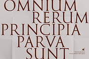 PKG Roman Capitals, a Serif Font by Posterizer KG (Thumbnail 5 of 6)