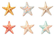Watercolor Summer Starfish Clipart, an Illustration by DreamPrint404 (Thumbnail 3 of 6)