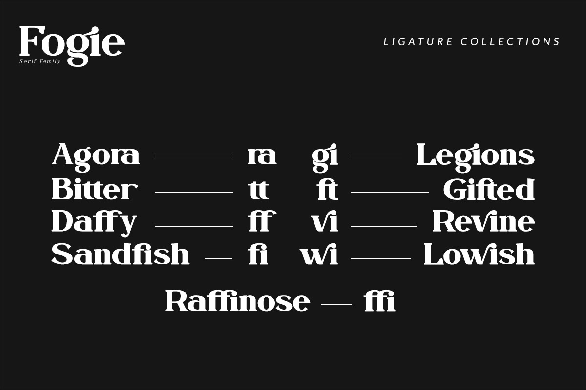 Fogie - Serif Family, a Serif Font by din-studio.com (Photo 17 of 21)